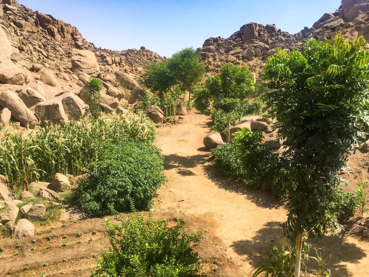 Вилла Eco Nubia Асуан Экстерьер фото